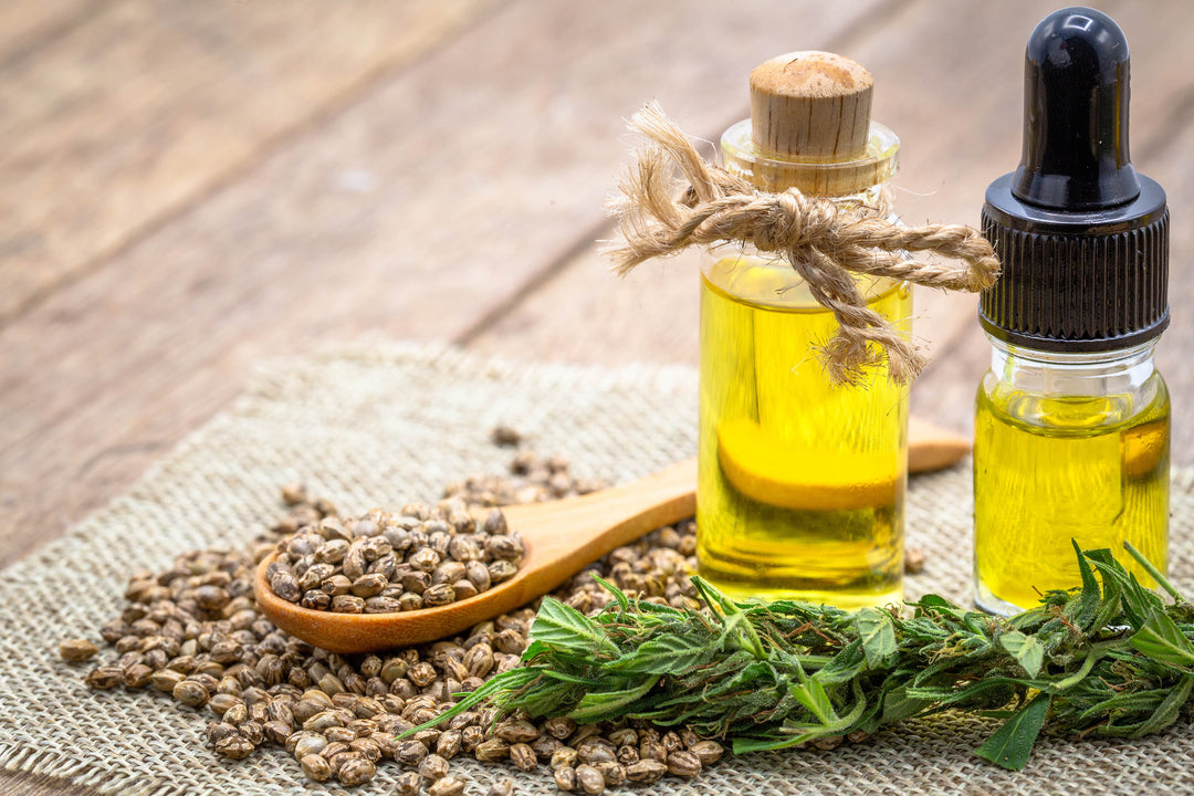 CBD Oil vs. Hemp Seed Oil: Getting to know the difference